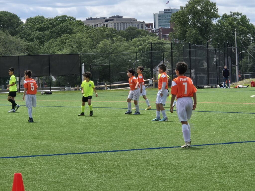 d1e7ae07-727b-4512-a2de-9e4fc558191e